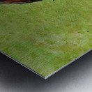 Digital water color of two brown horses Metal print