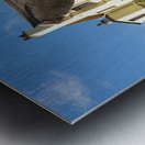 Thatched tea shop in Lustleigh in Devon Metal print