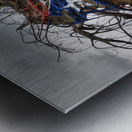 Fallen tree from Hurricane Maria in San Juan Impression metal