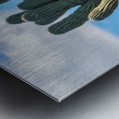 Crested Saguaro in National Park West Metal print