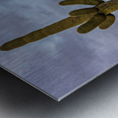 Sunset in Saguaro National Park Tucson Impression metal