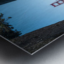 Golden Gate Bridge and tree trunks Metal print