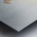 Seagull on a cast iron street lamp at dusk Metal print