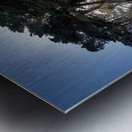 Sunbeams from large pine or fir trees  Metal print