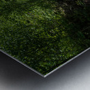 Old railway track at High Falls of Cheat Metal print