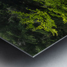 Dry Falls Waterfall near Highlands NC Metal print