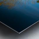 Ferris Wheel ride at abandoned funfair  Metal print