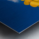 Metal sunflower against blue sky Metal print