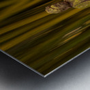 Buddha statue in bamboo forest Impression metal