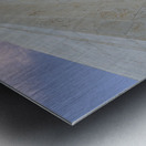 Mormon temple in Washington DC in late winter afternoon Metal print