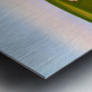 Heart shaped sand bunker in front of golf green Impression metal