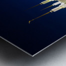 Mormon temple in Washington DC with xmas lights Metal print