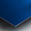 Mormon temple in Washington DC in late winter Metal print