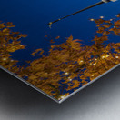 Mormon temple in Washington DC with xmas lights Metal print