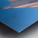 Mormon temple in Washington DC in late winter Metal print