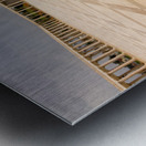 Basilica of Mongomo in Equatorial Guinea Metal print