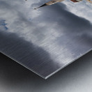 Panorama Basilica of Mongomo in Equatorial Guinea Metal print