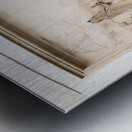 St Peters Parish Church Vienna Metal print