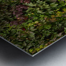 Graffiti on wall of rock like face of cat Metal print