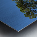 Old Cedar tree at Appomattox National Park Metal print