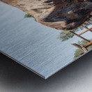 Old Longhorn bull in paddock Impression metal