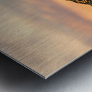 Sea Oats against rising sun in Florida Metal print