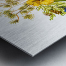 Arrangement of dried pressed flowers Metal print