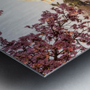 Beautiful early morning Jefferson Memorial with pastel colors Metal print