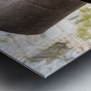 Detail of head of statue of President Lincoln Metal print