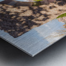 Smithsonian Institution gardens Washington DC Impression metal