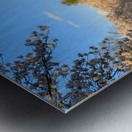 Washington Monument towers above blossoms Metal print