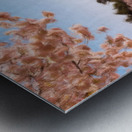 Digital art of the Washington Monument towering above blossoms Metal print