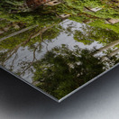 88 Buddhist temples at Lawai Valley Kauai Metal print