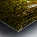 Dark Hedges road through old trees in digital oil Metal print