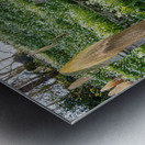 St Just in Roseland parish church in Cornwall UK Metal print