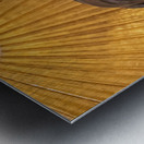 Head of the statue of George Washington Metal print