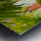 Famous 99 steps Charlotte Amalie Metal print