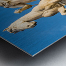 Comune di Roma town hall Metal print