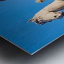 Comune di Roma town hall Metal print