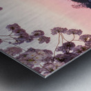 Pink colors of Cherry Blossom and Jefferson Memorial at sunrise Metal print