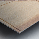 Pet dog at Roosevelt memorial Washington DC Metal print