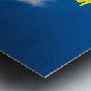 Single sunflower blossom against blue sky Metal print