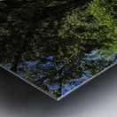 Cottage garden of small brick home Impression metal