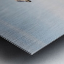 Seagull on promenade in Brighton Metal print