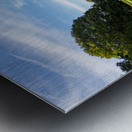 English lawn running down to lake Impression metal