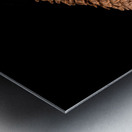 Macro photo of swamp milkweed seed pod Metal print