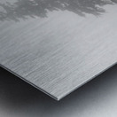 Mist and fog envelop two pine trees Impression metal