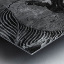 Maori carved head at Whakarewarewa Metal print