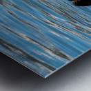 Sea Otter floating in Resurrection Bay near Seward Metal print