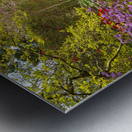 Path leads to Azaleas and Rhododendron trees in spring Metal print